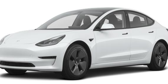 TESLA MODEL 3 2021 5YJ3E1EA6MF073919 image